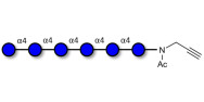 Maltohexaose DP6 with...