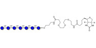 Maltoheptaose DP7 linked to...