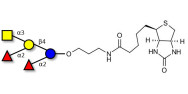 Fucosyl A antigen pentaose...