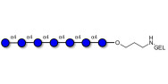 Maltoheptaose DP7 grafted...