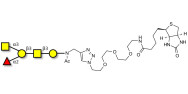 Blood group A antigen...