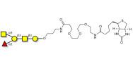 Blood group A antigen...