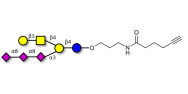 GT1c Ganglioside...