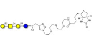 Asialo GM1 Ganglioside...