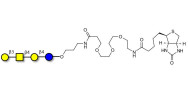 Asialo GM1 Ganglioside...