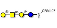 Asialo GM1 Ganglioside...