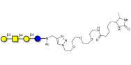 Asialo GM1 Ganglioside...