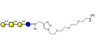 Asialo GM1 Ganglioside...