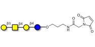 Asialo GM1 Ganglioside...