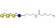 Asialo GM1 Ganglioside...