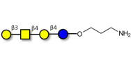 Asialo GM1 Ganglioside...