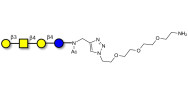 Asialo GM1 Ganglioside...