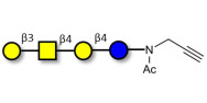 Asialo GM1 Ganglioside...