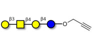 Asialo GM1 Ganglioside...