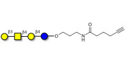 Asialo GM1 Ganglioside...