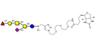 Fucosyl GM1 Ganglioside...