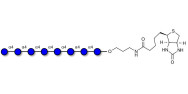 Maltooctaose DP8 linked to...