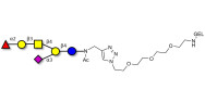 Fucosyl GM1 Ganglioside...