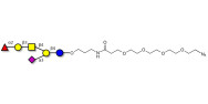 Fucosyl GM1 Ganglioside...