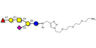 Fucosyl GM1 Ganglioside...