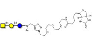 Asialo GM2 Ganglioside...