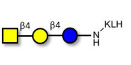 Asialo GM2 Ganglioside...