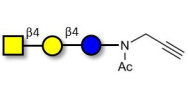 Asialo GM2 Ganglioside...