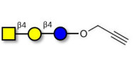 Asialo GM2 Ganglioside...