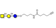 Asialo GM2 Ganglioside...