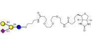 GM2 Ganglioside...