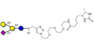 GM2 Ganglioside...