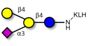 GM2 Ganglioside...