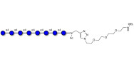 Maltooctaose DP8 grafted on...