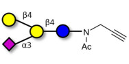 GM2 Ganglioside...