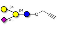 GM2 Ganglioside...