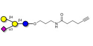 GM2 Ganglioside...