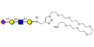 Sialylated tetraose type 1...