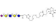 LS-Tetrasaccharide a (LSTa)...