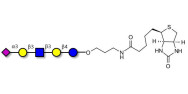 LS-Tetrasaccharide a (LSTa)...