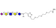 LS-Tetrasaccharide a (LSTa)...