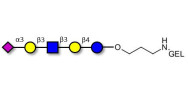 LS-Tetrasaccharide a (LSTa)...