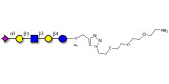 LS-Tetrasaccharide a (LSTa)...