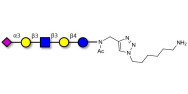 LS-Tetrasaccharide a (LSTa)...