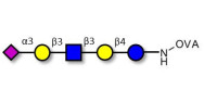 LS-Tetrasaccharide a (LSTa)...