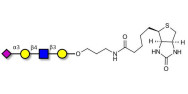 Sialylated tetraose type 2...