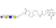 Sialylated tetraose type 2...