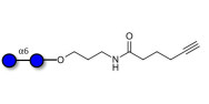 Isomaltose DP2 with...