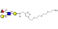 Lewis a (Lea) tetraose with...