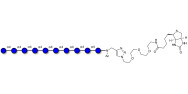 Maltodecaose DP10 linked to...