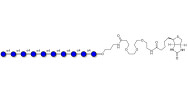 Maltodecaose DP10 linked to...